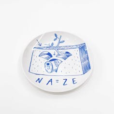 NAZE皿